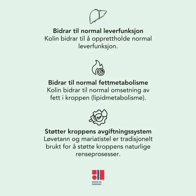Hovedbilde Mariatistel og kolin - 120 tabletter