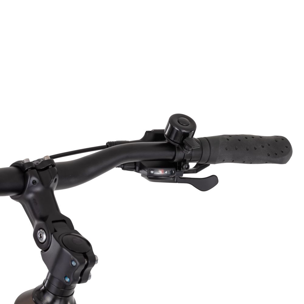 inSPORTline Urban E-Bike ISL Eclion 648 Wh fargevalg 16
