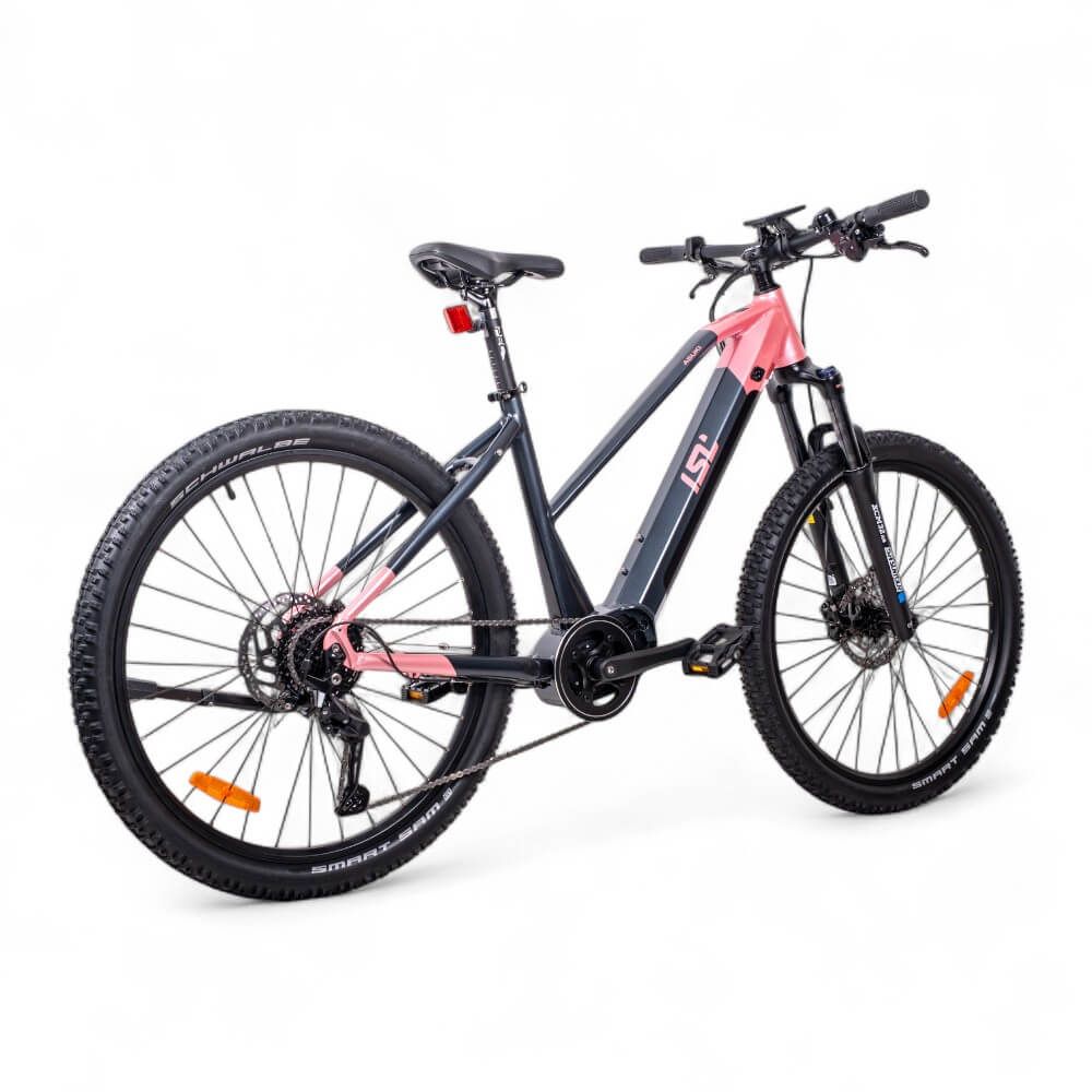 inSPORTline Women's Mountain E-Bike ISL Asuki 630 Wh 16